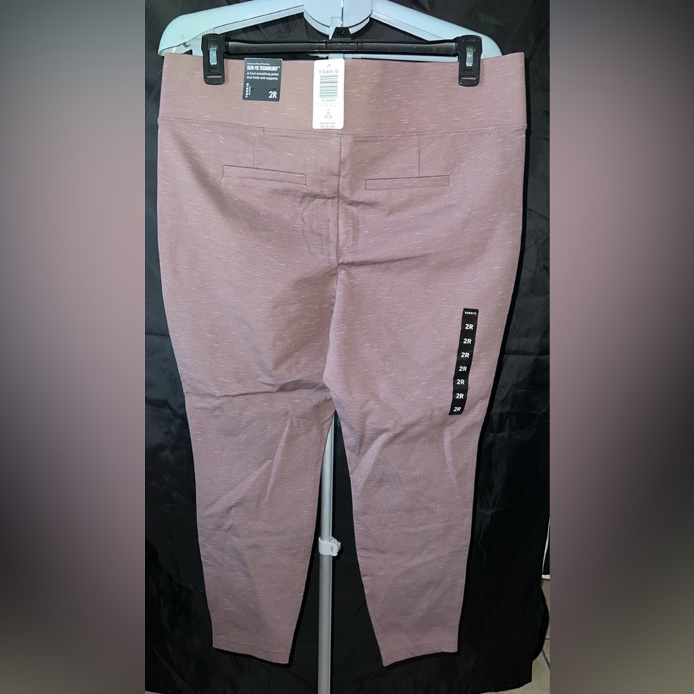 Torrid Pixie Pant in Brown